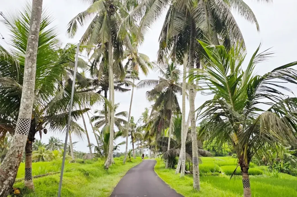 tibumana waterfall marriage proposal